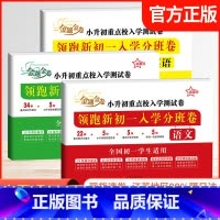 语数英-三册 小学升初中 [正版]备考2025小升初重点校入学测试卷暑假小升初分班领跑新初一必刷卷语文数学英语小学六年级