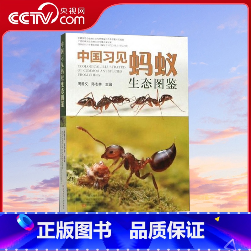 [正版]央视网中国习见蚂蚁生态图鉴 蚂蚁形态特征 彩色生态图鉴 蚂蚁鉴别鉴赏图案真实图案图书 蚂蚁品种种类大全书籍WX