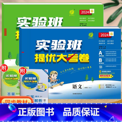语文+数学(人教版)。 四年级下 [正版]实验班提优大考卷一年级二年级三四五六年级上册语文数学英语人教版北师大苏教下册期