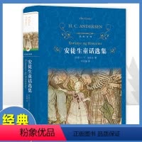 安徒生童话选集 [正版]安徒生童话选集精装/经典译林出版社小学生版三四五年级课外阅读书籍 儿童文学读物海的女儿完整版原著