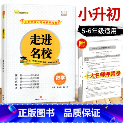 [正版]走进名校小升初数学核心考点模块专题训练小学生五六年级专项练冲刺名校小升初 十大名师押题卷强化训练题辅导资料 名