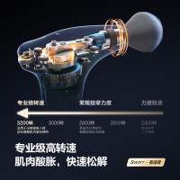 SKG筋膜枪F7se(单位:个)