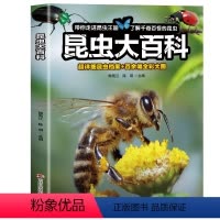 昆虫大百科 [正版]昆虫大百科全书超详细昆虫档案+百余幅全彩大图 带你走进昆虫王国了解千奇百怪的昆虫 小学生课外阅读书籍