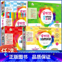 安妮花英语自然拼读与拼写(共5册) [正版]安妮花英语自然拼读1-3第2版全套预备级拼读与拼写英语启蒙早教书 幼儿儿童英