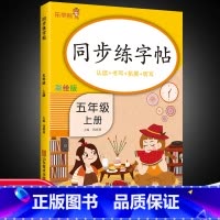 语文 五年级上 [正版]五年级上册同步字帖练字帖人教版 5年级上册语文写字课课练每日一练 小学生临摹字帖上学期生字抄写本