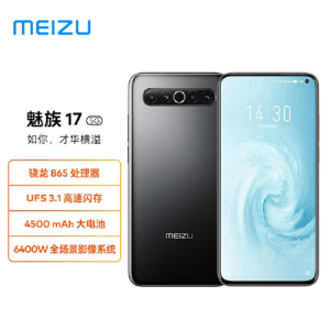 中兴ZTE升级版 Meizu/魅族 17 十七度灰 8+128GB 全新 骁龙865直屏5G手机屏幕指纹120Hz尝鲜模式4500毫安支持NFC