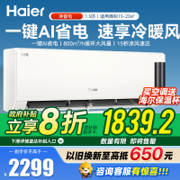 海尔(Haier)1.5匹 新一级能效净省电系列冷暖家用卧室挂机空调 高温除菌自清洁KFR-35GW/P2-1