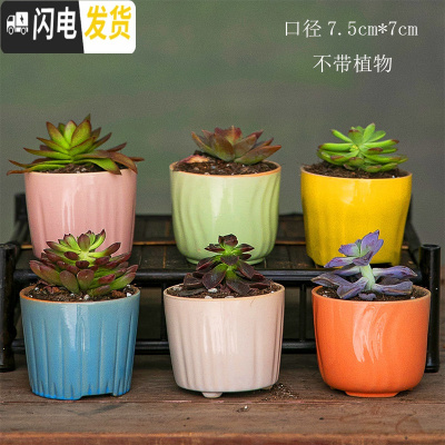 三维工匠创意多肉陶瓷花盆批發 中号家用植物瓷盆 卡通萌萌可爱阳台个性小 小清新套装彩色(6个) 中等花盆容器