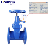 力盾 法兰暗杆弹性座封闸阀 6540 DN250 台