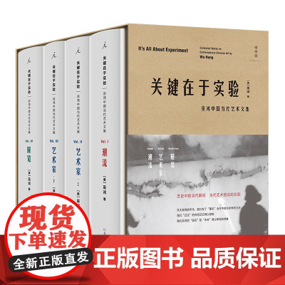 [刷口版]关键在于实验 巫鸿 著 一套中国当代艺术图鉴 理想国图书店