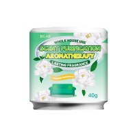 厕所除臭剂神器洗手间除味香薰去味异味留香卫生间房间清新剂空气