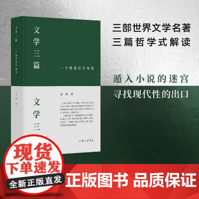 文学三篇:一个政治哲学视角 洪涛 上海三联书店 寻找现代性的出口 三部世界文学名著 三篇哲学式解读 现当代文学散文随笔书