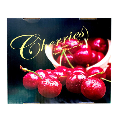 礼盒装[熊猫鸟]顺丰空运 智利进口车厘子 JJJJ 净重3斤装 应季车厘子 新鲜水果 酸甜可口