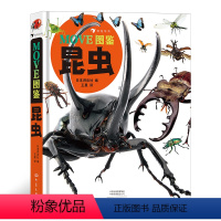 MOVE图鉴 昆虫 [正版] MOVE图鉴昆虫 恐龙 宇宙 日本讲谈社编昆虫大百科全书昆虫百科全书科普儿童版大百科绘本d