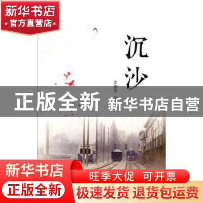 正版 沉沙 李敬宇著 河海大学出版社 9787563062614 书籍