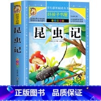 昆虫记 [正版]昆虫记 一二三四五六年级暑假寒假阅读课外书阅读书目 小学生版彩图版 适合6-12岁小学阅读经典文学故