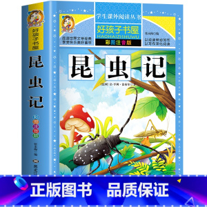 昆虫记 [正版]昆虫记 一二三四五六年级暑假寒假阅读课外书阅读书目 小学生版彩图版 适合6-12岁小学阅读经典文学故