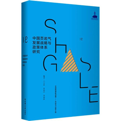 醉染图书中国页岩气发展战略与政策体系研究9787562852476