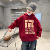 童装男童冬装加绒卫衣新款冬季青少年连帽男孩大童加厚秋冬款