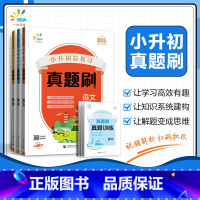 语文 小学通用 [正版]53多选一起同学 2024版小升初总复习真题刷语文数学英语五六年级适用全国通用53小学真题刷小学