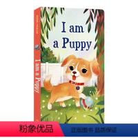 I am a Puppy 我是一只小狗 [正版]英文原版绘本brown bear棕色的熊i am a bunny我是一只