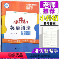 英语语法集训 小学升初中 [正版]2024培优新帮手小升初英语语法集训小学6年级小升初英语考点总复习语法词汇句型时态专项
