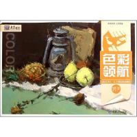 正版新书]色彩领航陈薪宇 著9787562482840