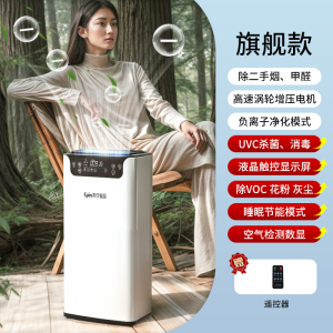 苏宁宜品负离子空气净化器除甲醛家用房间除烟味灰尘负离子净化机-旗舰款