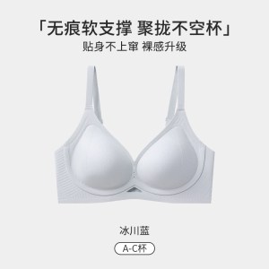内衣女小胸聚拢显大收副乳防下垂无痕美背文胸罩上托提拉2026新款