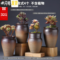 三维工匠多肉花盆陶瓷大号小老桩粗陶透气创意个性肉肉植物盆 款式8 大花盆容器