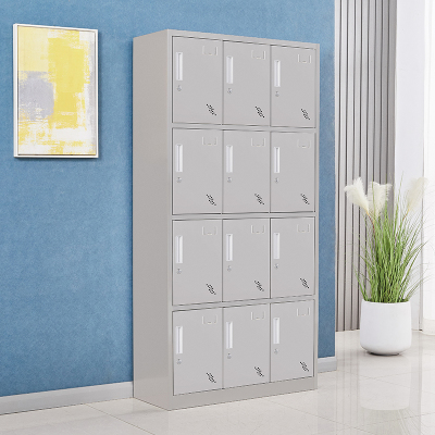 臻远 不锈钢201存储柜储物柜 12门更衣柜