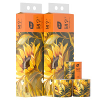 植护韧享系列有芯卷纸 100*120mm/5层 130g /12卷/提*1提