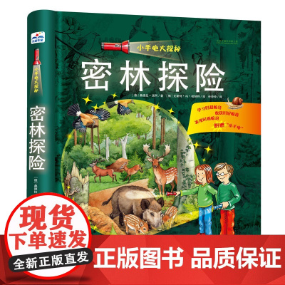 小手电大探秘:密林探险