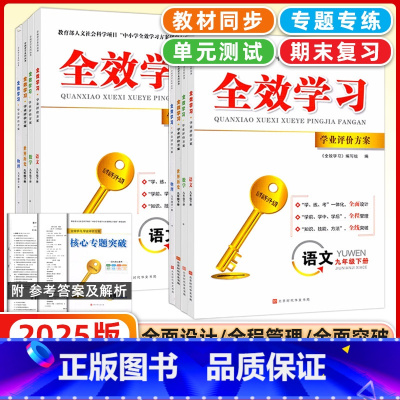 数学 九年级上 [正版]2025版全效学习学业评价方案七年级八年级九年级上册下册物理7年级下8年级下九9年级下数学化学语