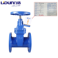 力盾 法兰暗杆弹性座封闸阀 6540 DN100 台