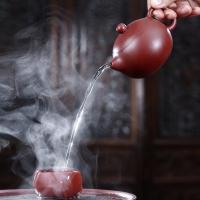 家柏饰(CORATED)紫砂西施壶单个原矿办公冲茶器家用功夫泡茶壶礼盒装19029