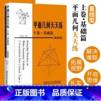 平面几何天天练.上卷,基础篇.直线型 初中通用 [正版]平面几何天天练 上卷基础篇 直线型初中高中生书籍初中老师教学辅导
