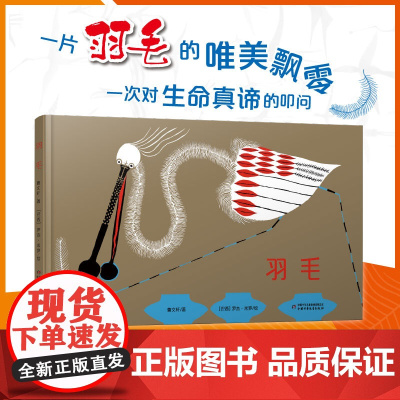 中少阳光图书馆 羽毛