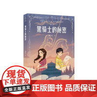 秘密之旅 黑骑士的秘密 云南美术出版社 邹凡凡 著 儿童文学 儿童文学