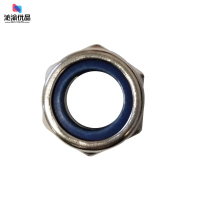 沁渝优品 304不锈钢尼龙螺母 M20 个