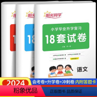 语数英(3科) 小学升初中 [正版]2024阳光同学小学毕业升学复习18套试卷小升初语文数学英语会考卷升学卷冲刺卷 小升
