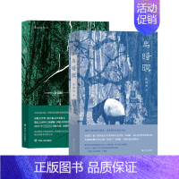 [正版]乌暗暝 雨 全2册 马来西亚作家黄锦树华语乡土文学魔幻现实主义长篇小说 调度不同的时间刻度 重新把灰烬还原为火