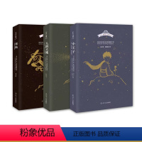 小王子飞行三部曲(套装共3册) [正版]小王子书名著书籍全套3册 飞行三部曲简体中文版世界名著安东尼德圣埃克苏佩里 小王
