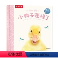 小鸭子迷路了 [正版]F甜甜圈粉丝专享 绘本0-3岁睡前早教书籍幼儿1-2-6岁宝宝幼儿园学前亲亲宝贝小兔子爱冒险儿童阅
