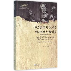 正版新书]从《黑奴吁天录》到《喧哗与骚动》:微澜与巨潮激荡的