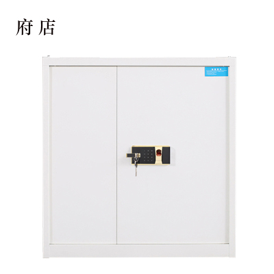 府店保险柜铁皮资料柜矮柜办公室储物柜单节白色指纹锁900*420*900