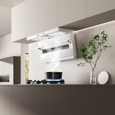 老板(Robam)白色小黑翼D1P 顶侧双吸26m³抽油烟机 家用大吸力油烟机 吸油烟机 7字型油烟机27A16-D1P