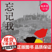 忘记我 徐风著 (电子有声书)译林出版社出品