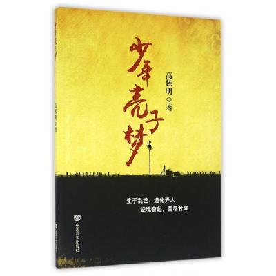 正版新书]少年亮子梦高辉明9787517117490