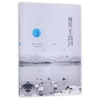 正版新书]再见王沥川(加)施定柔9787533949228